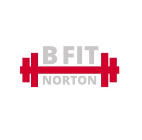 b fit norton|B FIT NORTON